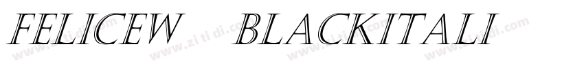 FeliceW05 BlackItali字体转换